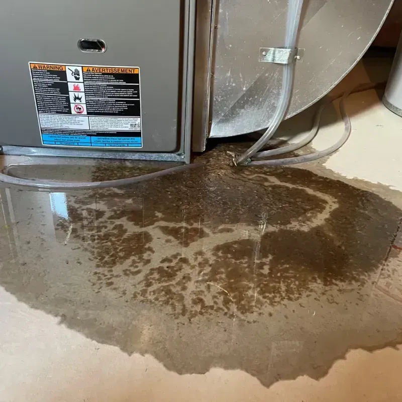 Appliance Leak Cleanup in Brownville, NJ